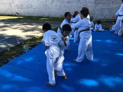 Aulas de Judô – foto 4