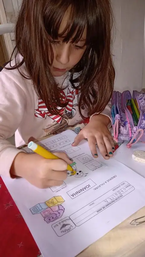 Projeto Bichinhos do Jardim – Educação Infantil – foto 9