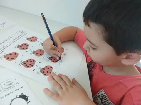 Projeto Bichinhos do Jardim – Educação Infantil – foto 20
