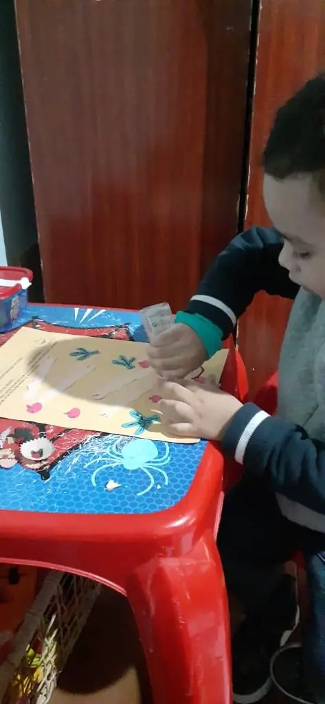 Projeto Bichinhos do Jardim – Educação Infantil – foto 22