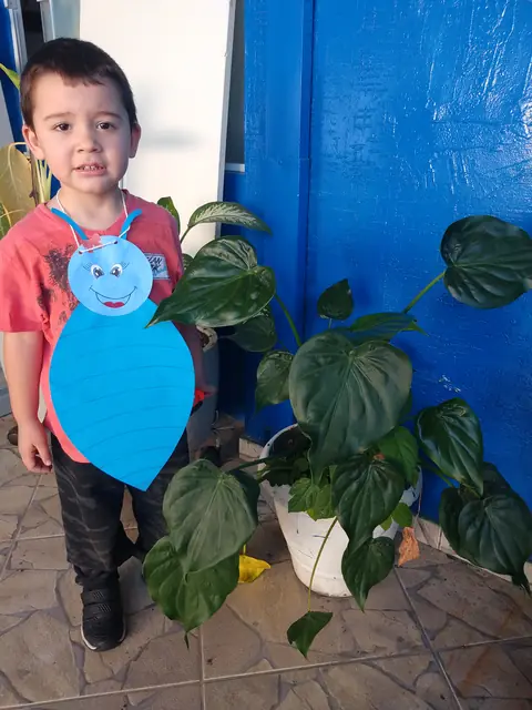 Projeto Bichinhos do Jardim – Educação Infantil – foto 36