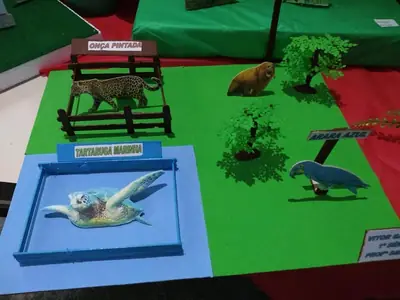 Projeto Meio Ambiente – Exposições – foto 22