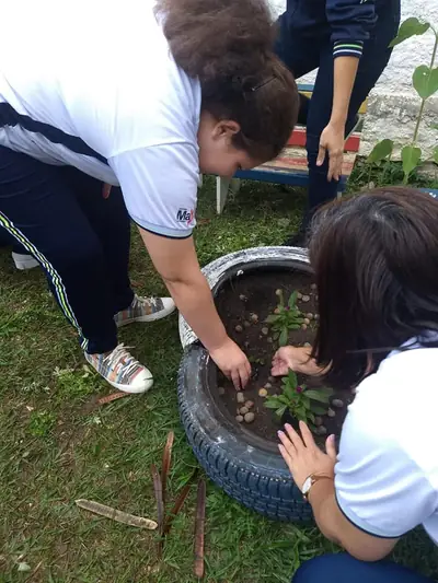 Setembro Verde – APAE Centro Dia – foto 2