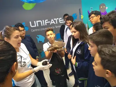 Visitas: Feira de Ciências e Laboratórios da Unifatea – Fundamental II – foto 17